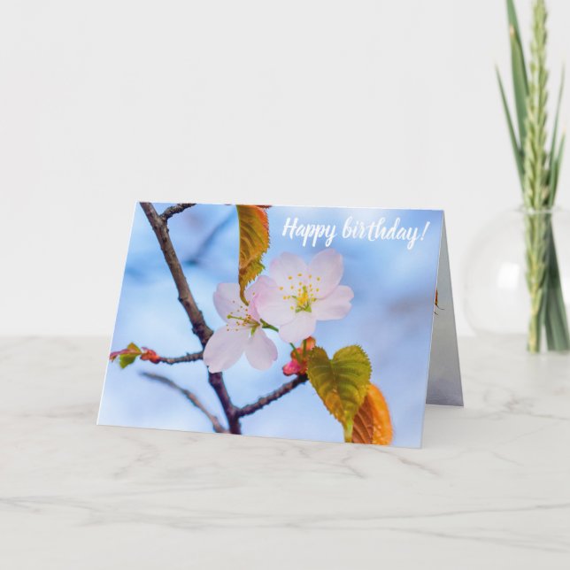 Carte Deux Fleurs Sakura De Couleur Rose Pâle Au Printem (Devant)