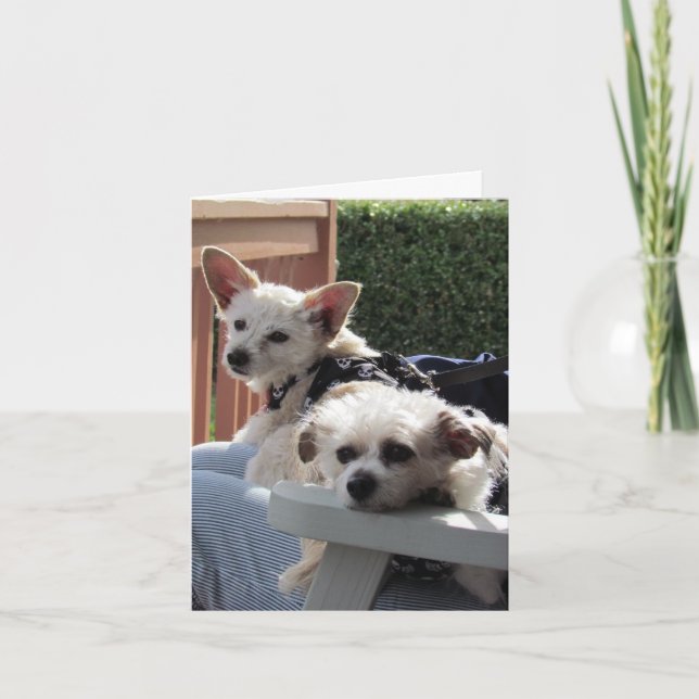 Carte - Deux Pals (Devant)