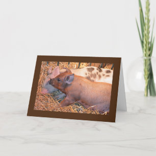 CARTE "DEUX PETITS PIGGIES" DIT **HEUREUX AMI D'ANNIVERS