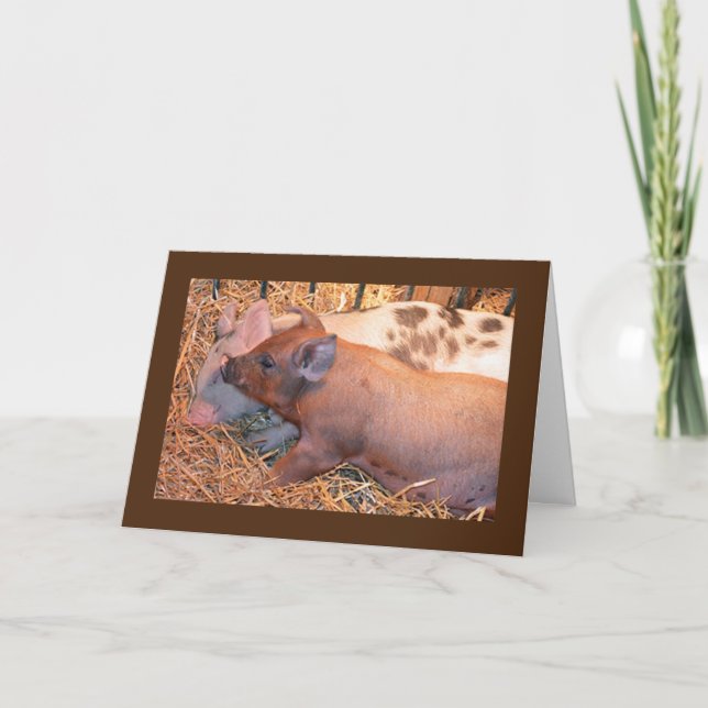 CARTE "DEUX PETITS PIGGIES" DIT **HEUREUX AMI D'ANNIVERS (Devant)