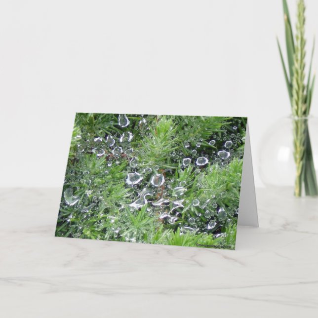 Carte Dew du matin (Devant)