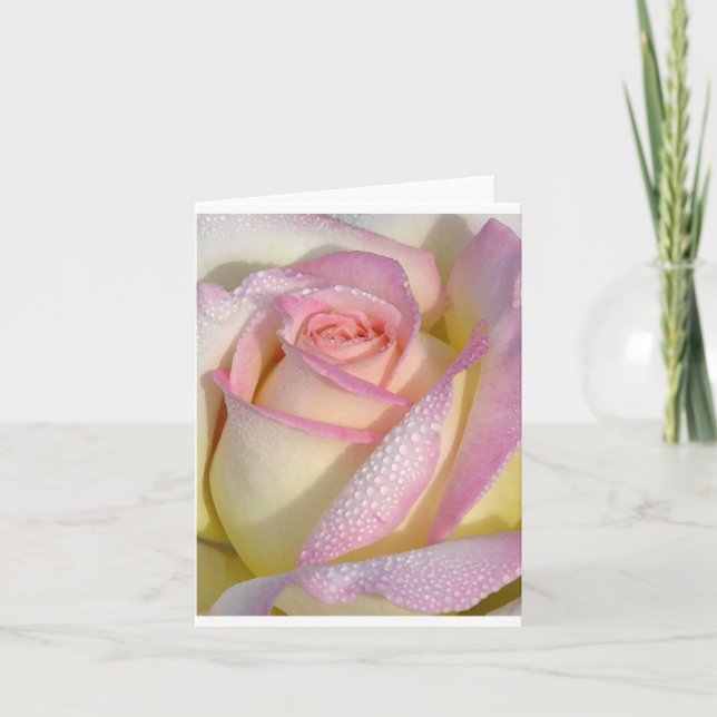 Carte Dewey Rose (Devant)