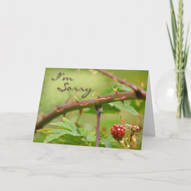 Carte d'excuses Désolé d'être fâché (Devant)