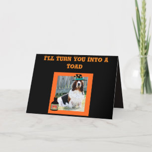 Carte d'Halloween amusante avec jolie sorcière Bas