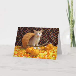 Carte d'Halloween Annie's Sweet Cat / Kitten