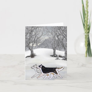 Carte d'hiver de chien de traîneau sibérien