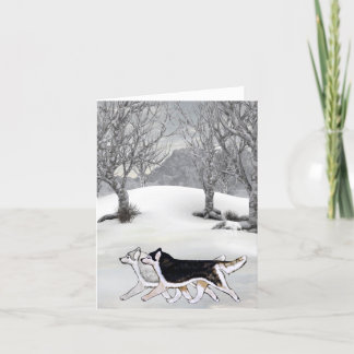 Carte d'hiver de chien de traîneau sibérien