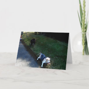 CARTE D'HOSPITALITÉ Merci