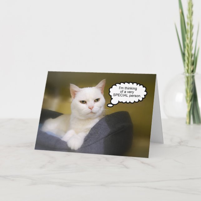 Carte d'Humour d'anniversaire du Frère Chat Blanc (Devant)