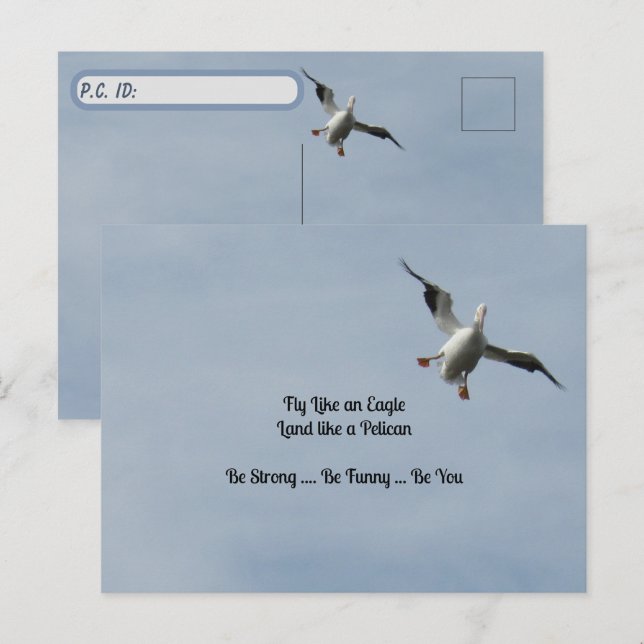 Carte d'identité de poste - Américain blanc Pélica (Devant / Derrière)