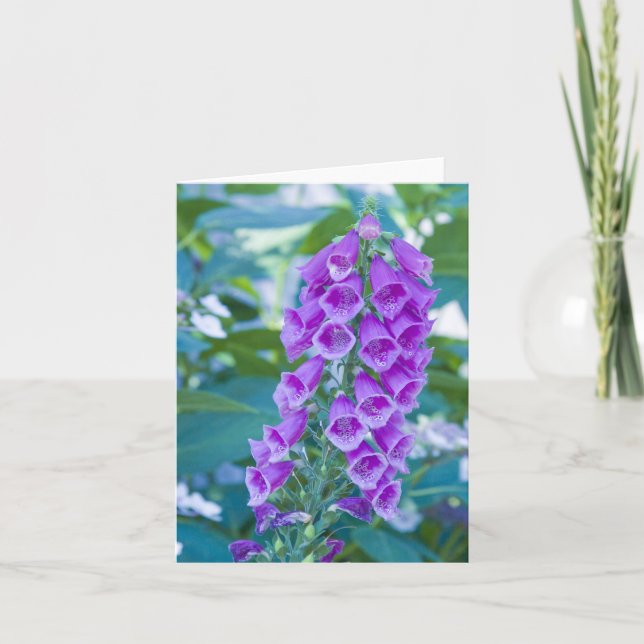 Carte "Digitale pourpre de forêt # 1" (Devant)