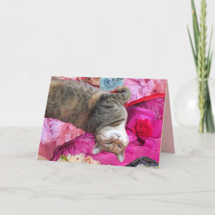 Carte Dilemme de la princesse Tatus Cat