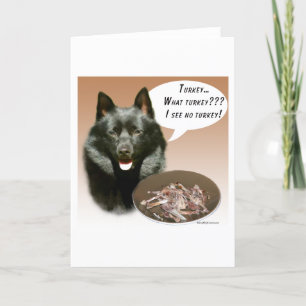 Carte Dinde Schipperke