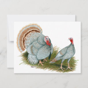 Carte Dindons : Lilac