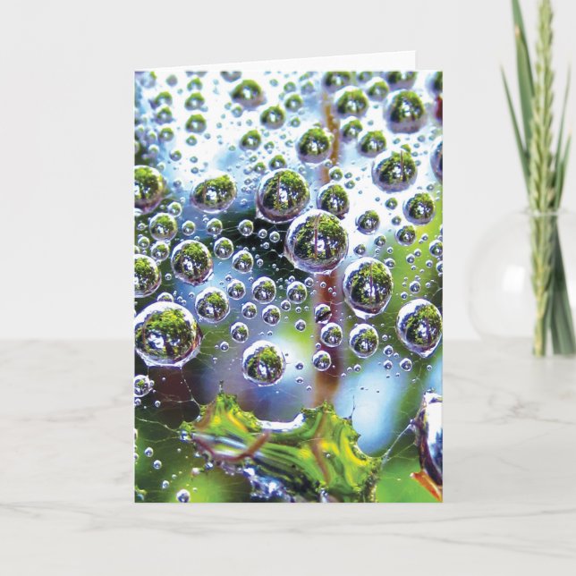 Carte Dingue, Mémerisante, Dew Drop (Devant)