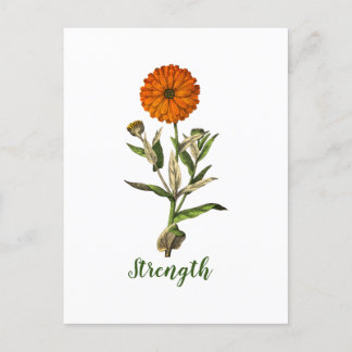 Carte d'inspiration personnalisée Marigold Strengt