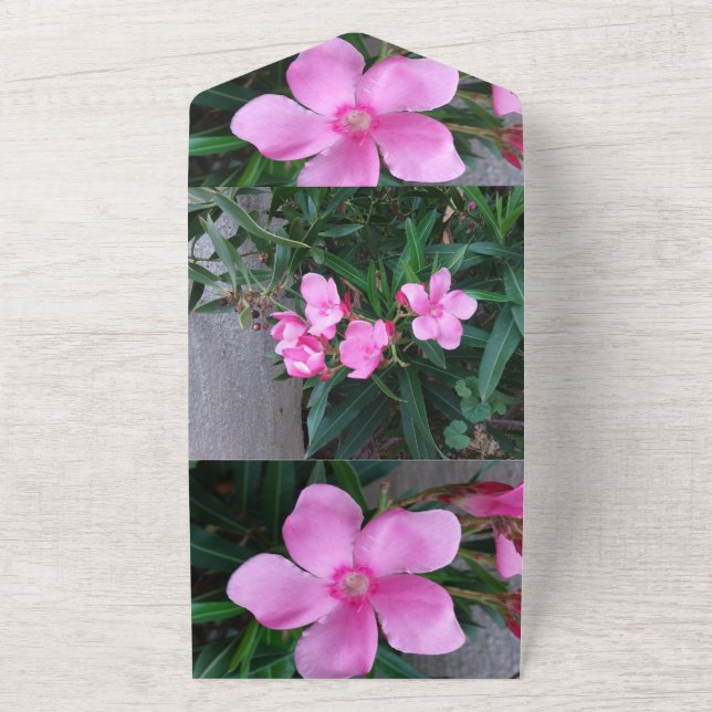 Carte d'invitation (Dehors)