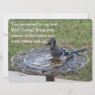 Carte d'invitation à la découverte d'oiseaux