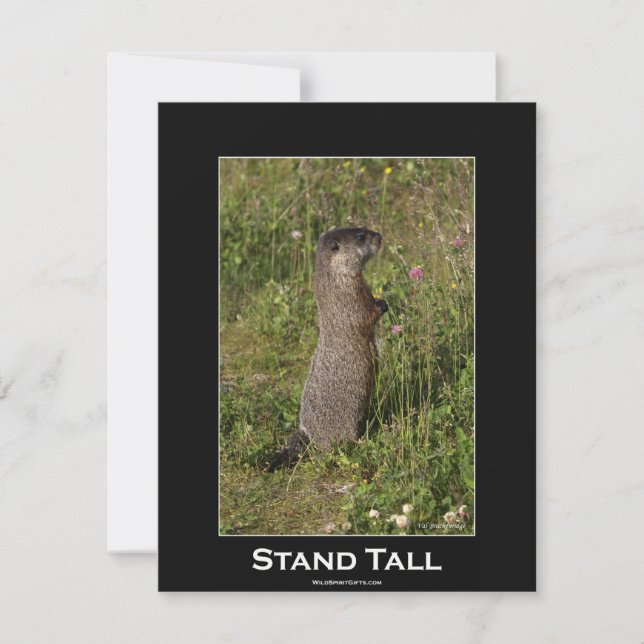 Carte d'invitation Motivational Marmot (Devant)