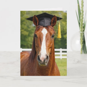 Carte Diplômé Cheval Alezan