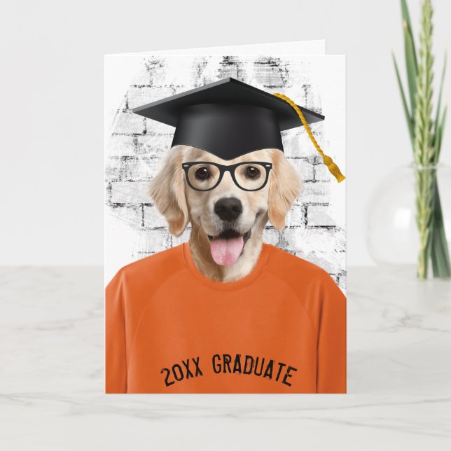 Carte diplôme golden retriever en t-shirt (Devant)