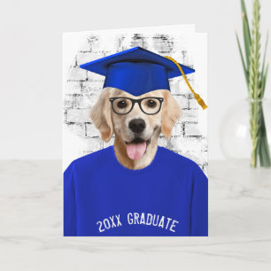 Carte diplôme golden retriever en t-shirt bleu