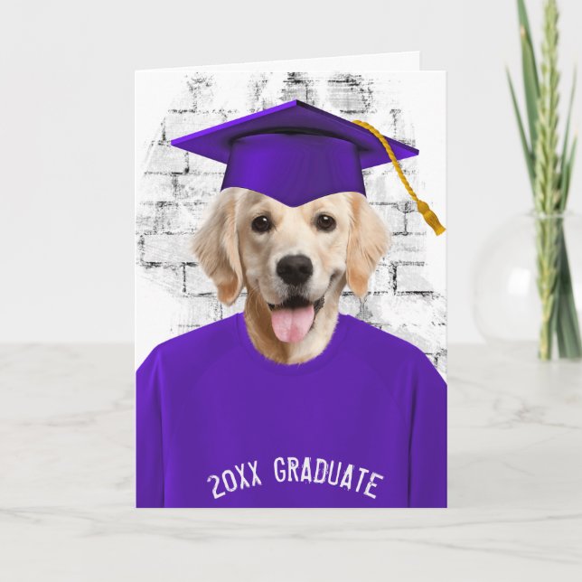 Carte diplôme golden retriever en t-shirt violet (Devant)