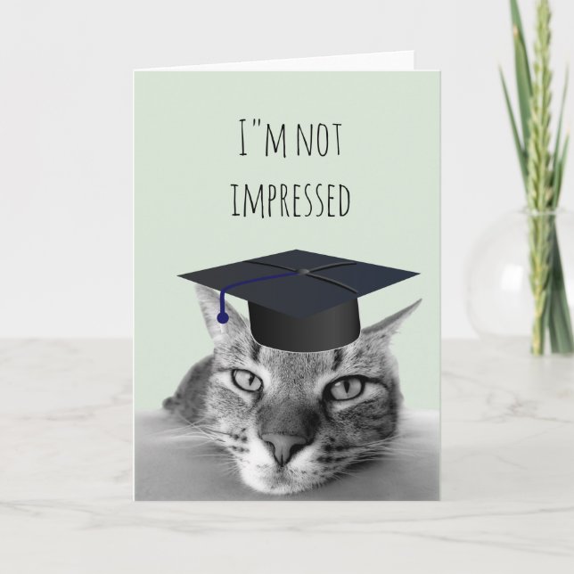 Carte Diplômé Pas Impressionné Colère Humour Chat (Devant)