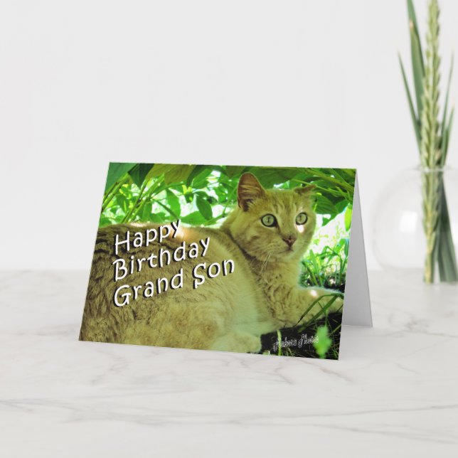 Carte Dissimulation de souffle (Devant)