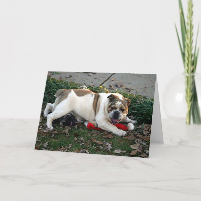 Carte Dites la pitié ! (Devant)