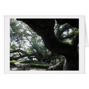 Carte divine d'arbre