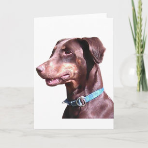 Carte Doberman Pinscher Rouge