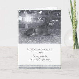 Carte Doberman Sympathy Card