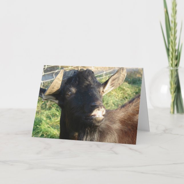 Carte Dobie Billy alpin (Devant)