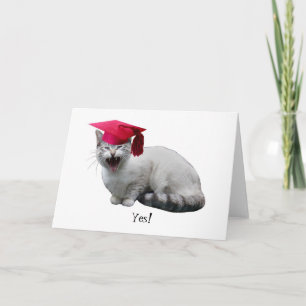 Carte d'obtention du diplôme de chat