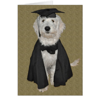 Carte d'obtention du diplôme de Goldendoodle