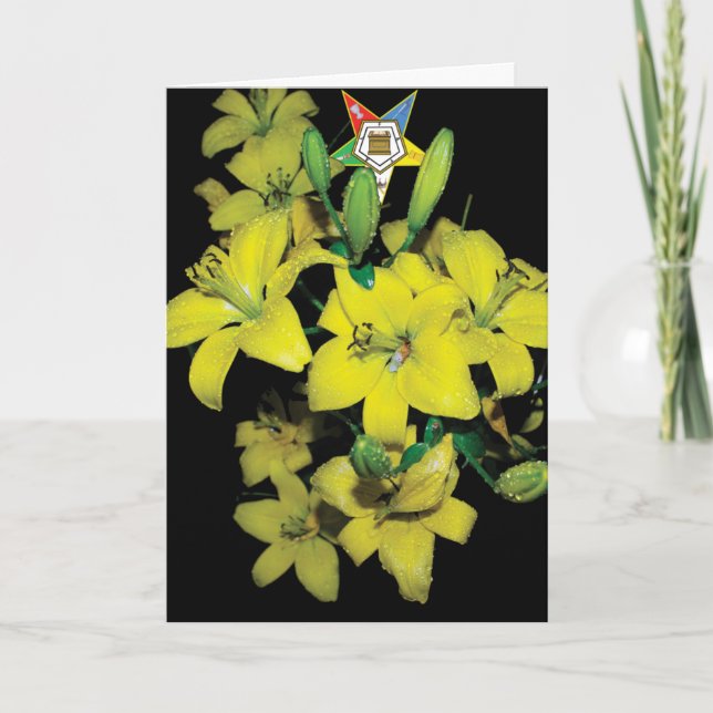 Carte d'OES (Devant)