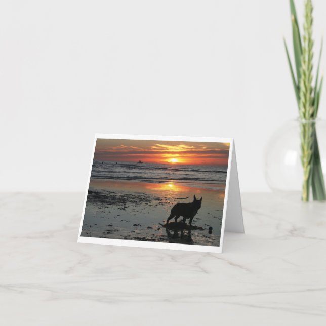 Carte Dog beach (Devant)