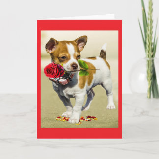Carte  Dog Mom Mother's Day Greeting Card
