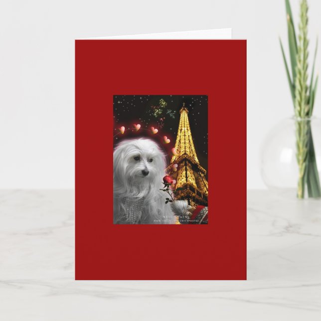 Carte Dog Valentine (Devant)