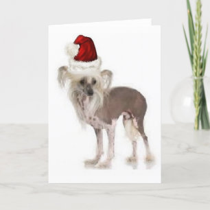 Carte Dogs~Original Ditzy Notecard~Chinese Crested