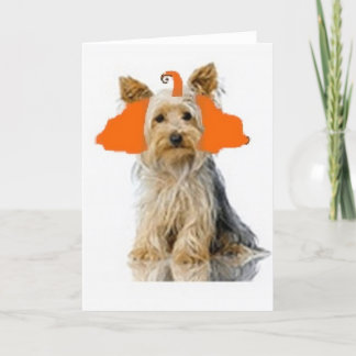 Carte Dogs~Original Ditzy Notecard~Yorkie