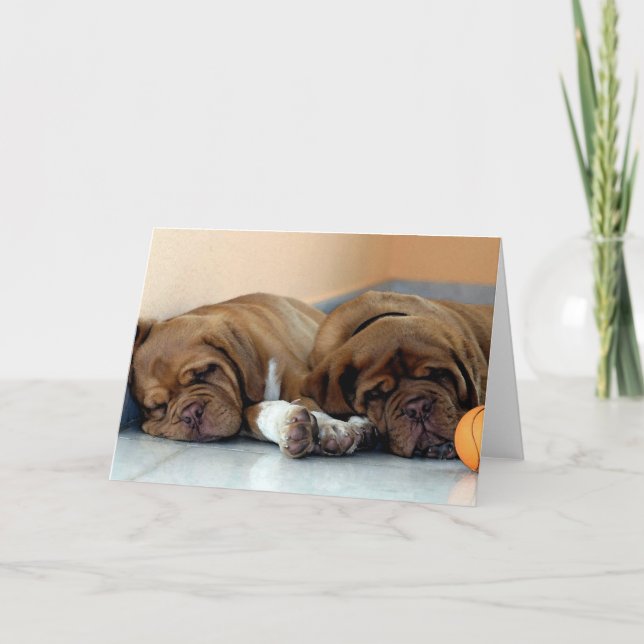 Carte Dogue De Bordeaux Chien Blank Grey Card (Devant)