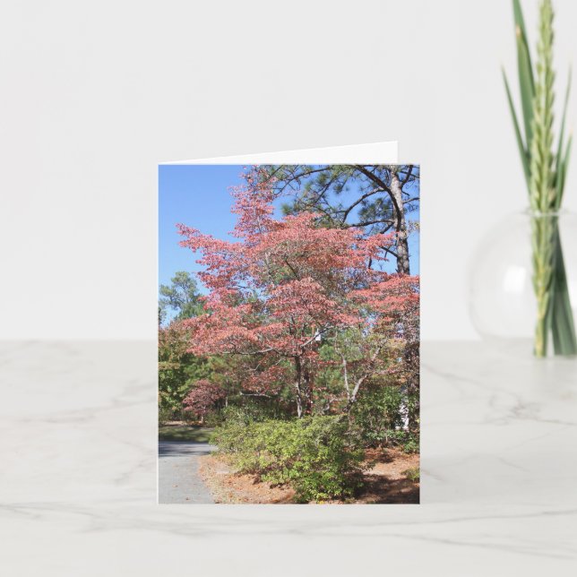 CARTE DOGWOOD D'AUTOMNE (Devant)