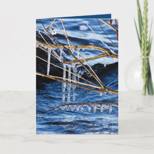 Carte Doigts froids