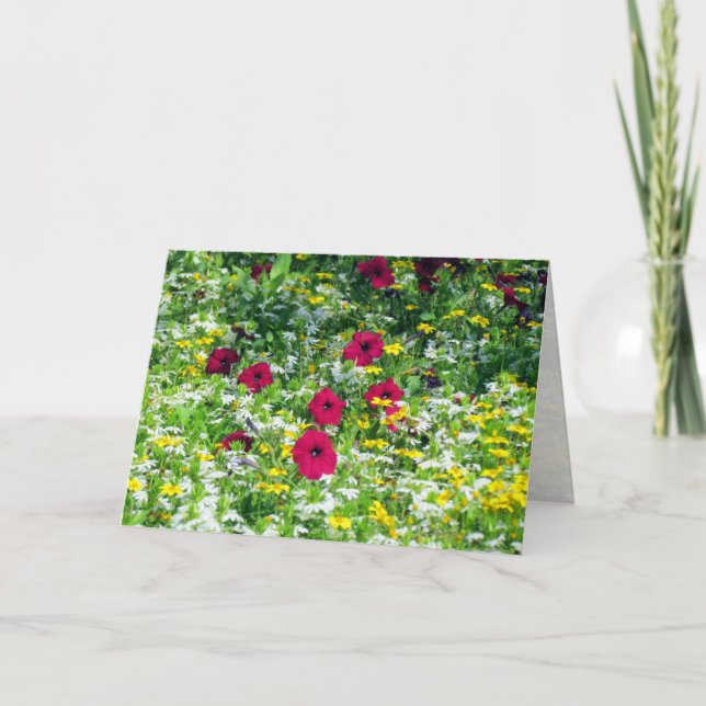 Carte Domaine des rêves (Devant)