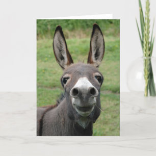 Carte Donkey