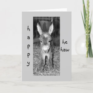 CARTE DONKEY BABY VOUS DIT HEUREUX ANNIVERSAIRE "IL A"
