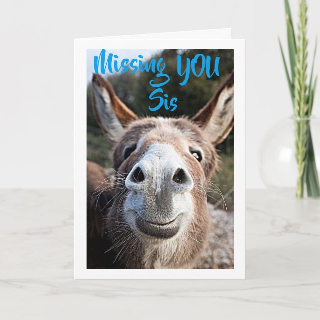 CARTE DONKEY MANSES ***SIS*** PAS TRÈS HEUREUX À CE SUJE (Devant)