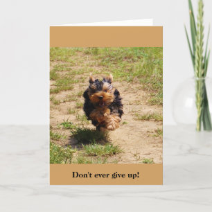 Carte Don't ever give up! greeting card